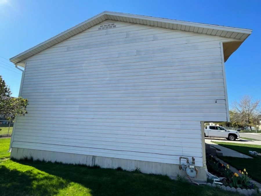 Before Painting Preview Image 4