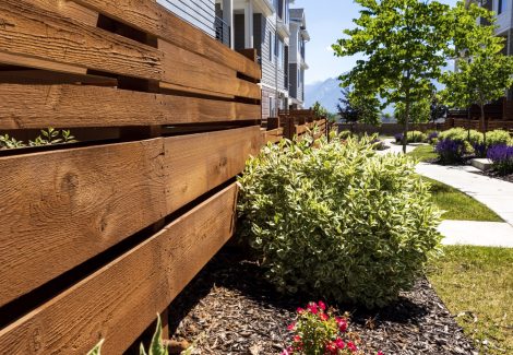 After Fence Staining