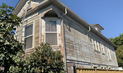 Exterior Repairs and Painting