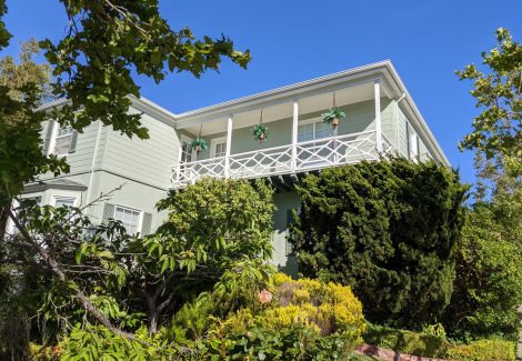light green home surrounded by dark green foilage