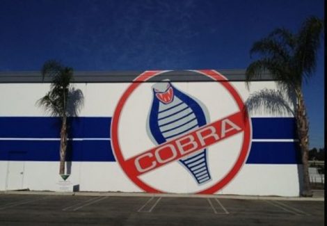 Cobra Exterior Wall Logo