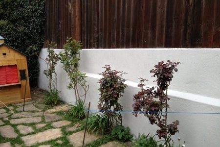 Exterior Painting with Trim