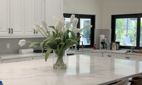 Residential Interior Painting