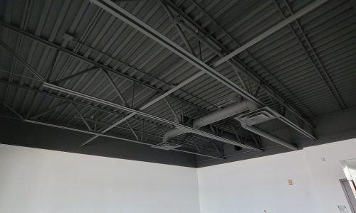 interior ceiling painting