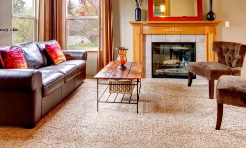 Richmond Hill, GA - Living Room Painting