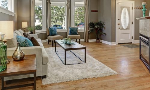 Pooler, GA - Living Room Painting