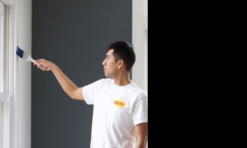 Professionals Painters in Hanover Park,IL