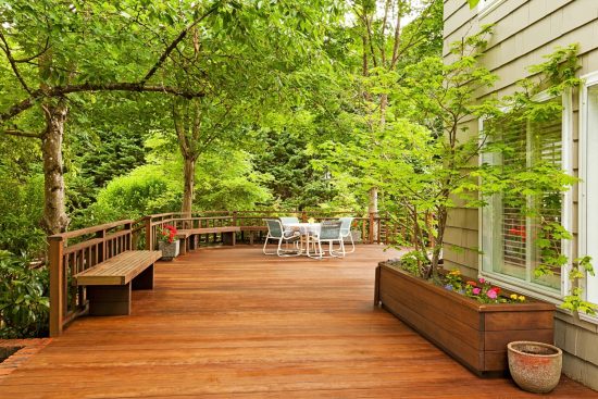 Beautiful deck with trees photo