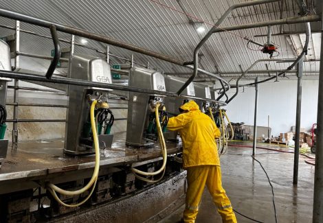 Gill Dairy Case Study during Photo preparing surfaces