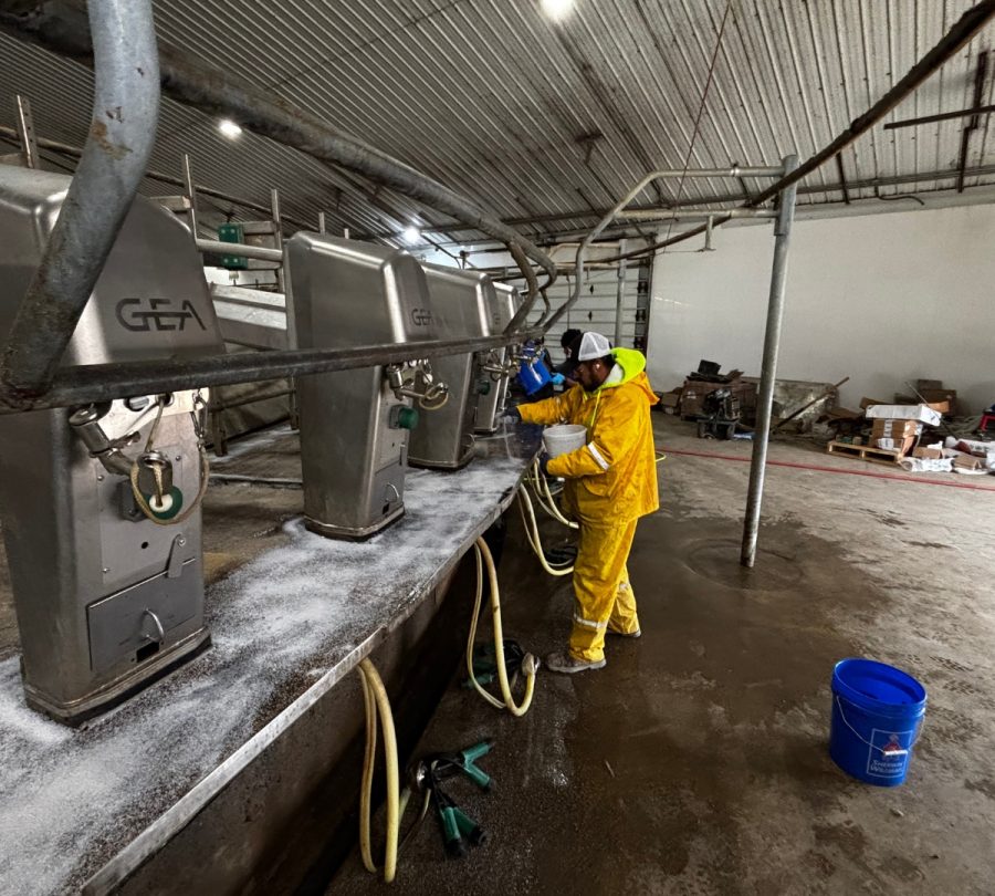 Gill Dairy Case Study floor being repaired with sand Preview Image 12