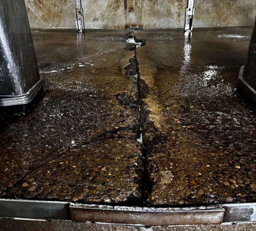 Gill Dairy Case Study before Photo damaged floor Preview Image 18