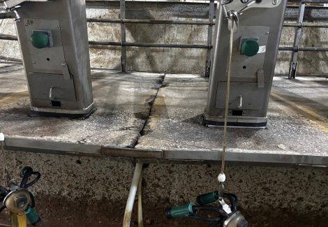 Gill Dairy Case Study floor prepared to be resealed