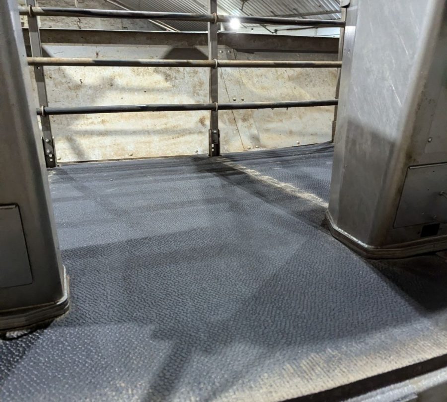 Gill Dairy Case Study Before Photo Preview Image 5