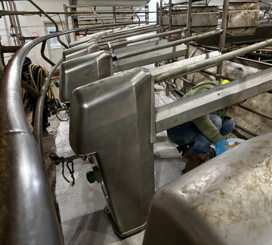 Gill Dairy Case Study floor being smoothed out in hard places Preview Image 1