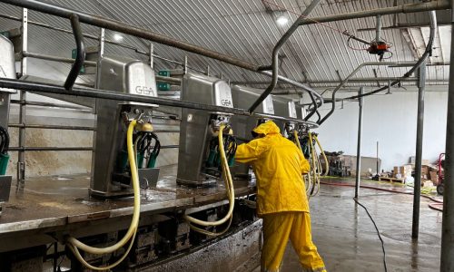 Gill Dairy Case Study During Photo