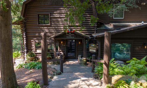 Ishnala Supper Club Case Study After Photo