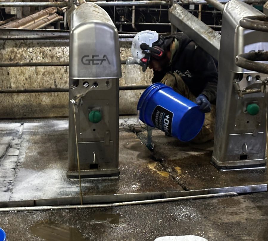 Gill Dairy Case Study floor being sealed Preview Image 14