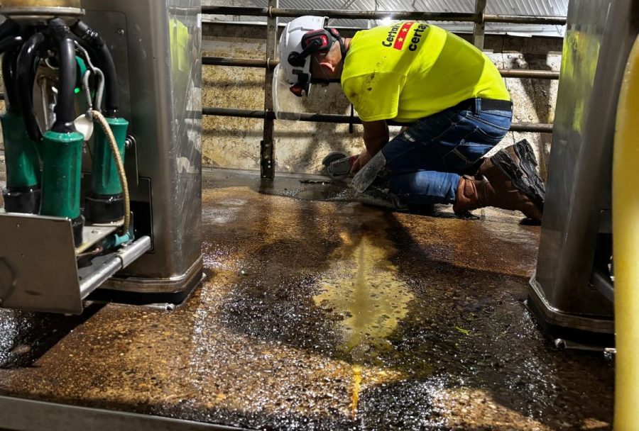 Gill Dairy Case Study During Photo Preview Image 9