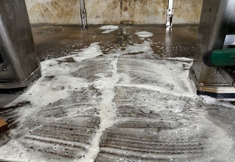 Gill Dairy Case Study during Photo cleaning floors with soap