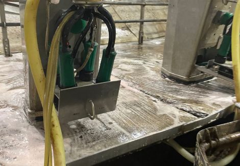 Gill Dairy Case Study Before Photo cleaning floors