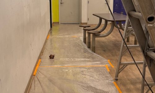 Prep Work in Progress