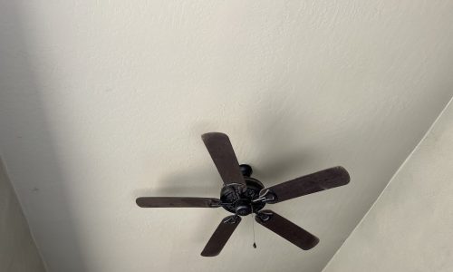 Freshly Painted Ceilings