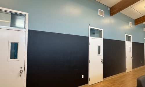 Durable Coatings Designed for High-Traffic Use