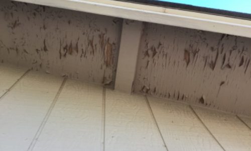 Old Paint Chipping Away