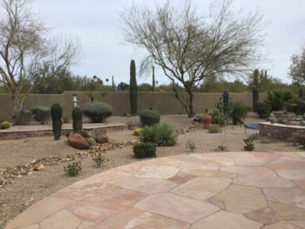 Backyard Preview Image 12