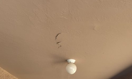 Outdoor Ceiling
