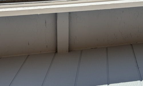 Bright and Durable New Paint