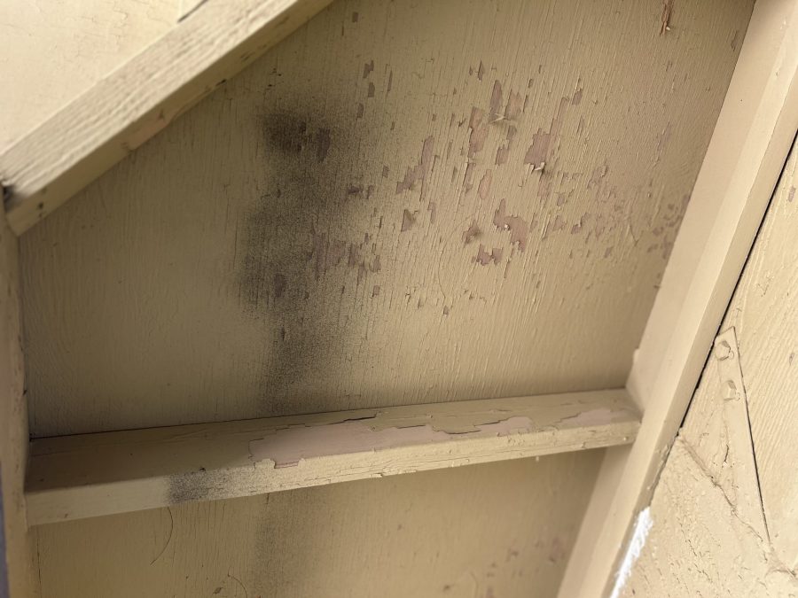 Wood Trim (Before) Preview Image 11