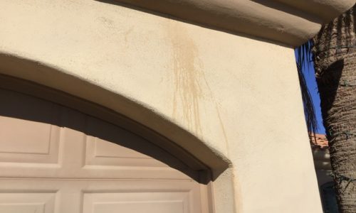 Egg Stained Exterior