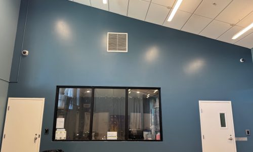 Clean, Durable Finish with Scuff Tuff Paint