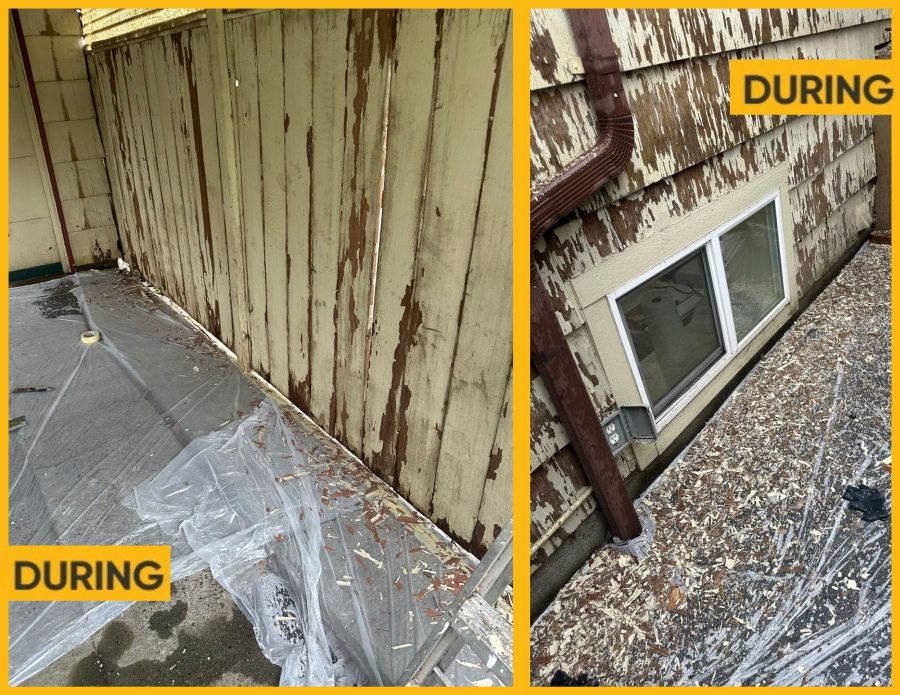 Cedar Shingle Home Revival (During) Preview Image 7