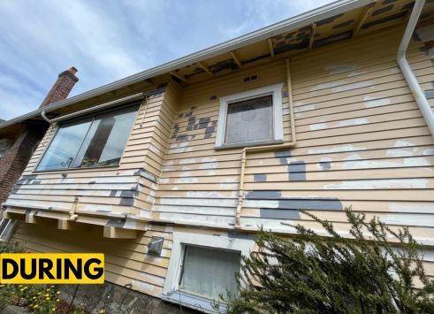 Ianni - Wallingford - During Preview Image 6