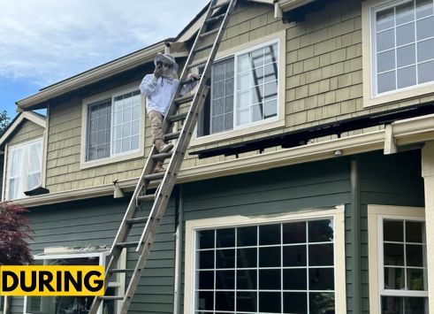 Exterior Painting Project in Shoreline, WA Preview Image 6