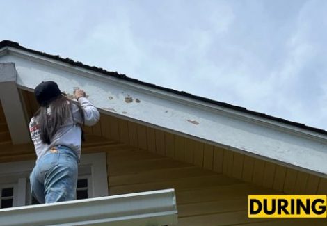 Ianni - Wallingford - During