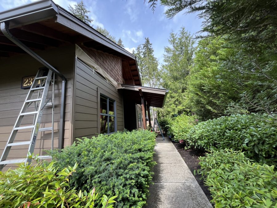 Country Club (Progress) Preview Image 13