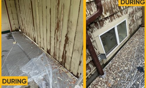 Cedar Shingle Home Revival (During)