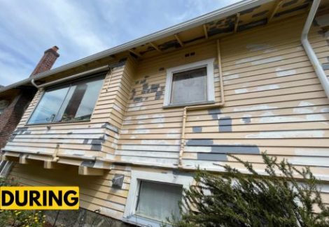 Ianni - Wallingford - During