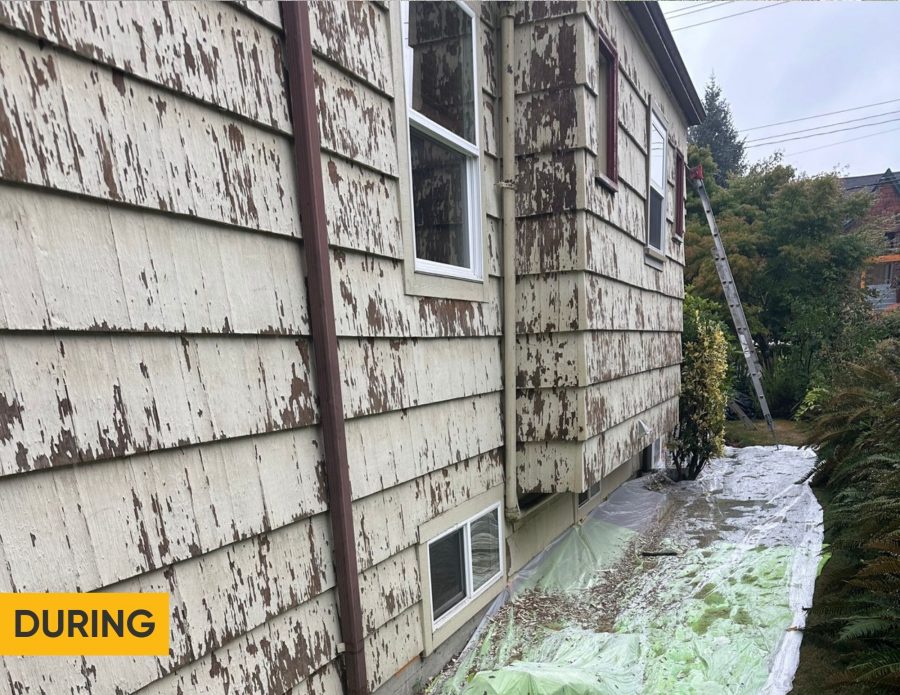 Cedar Shingle Home Revival (During) Preview Image 6