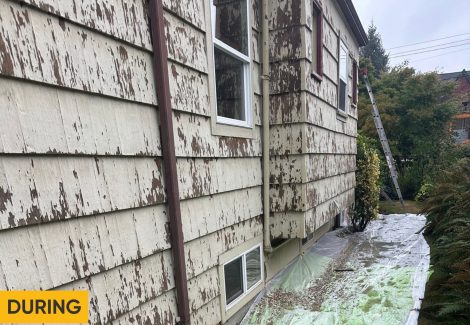 Cedar Shingle Home Revival (During)