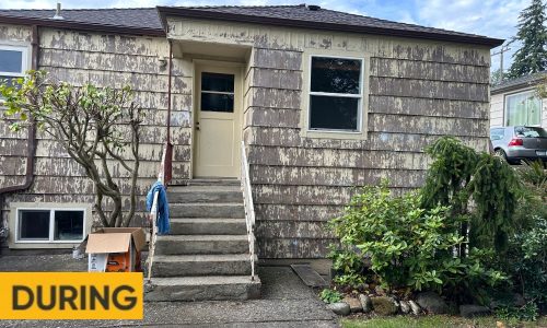 Cedar Shingle Home Revival (During)