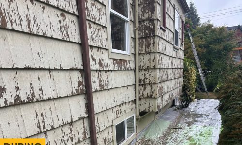 Cedar Shingle Home Revival (During)