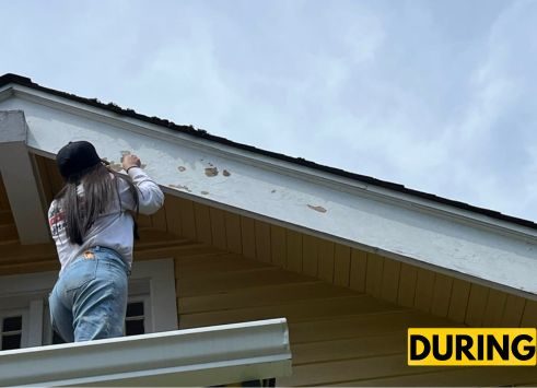 Ianni - Wallingford - During Preview Image 4