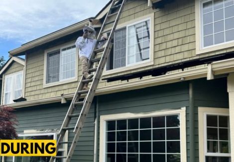 Exterior Painting Project in Shoreline, WA