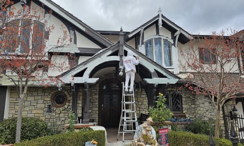 Wood Repair & Replacement