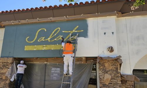 Painted Logo Removal