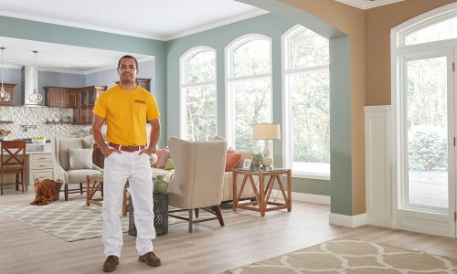 House Painting Services